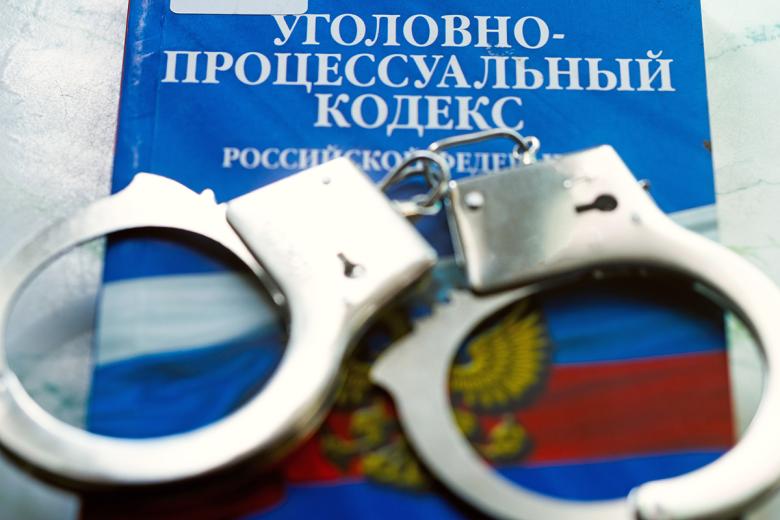 В России могут снизить возраст уголовной ответственности по части статей