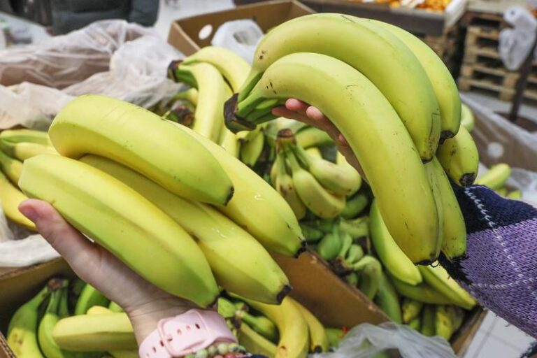 banany-vkljuchili-v-perechen-selskohozjajstvennoj-produkcii-rossii-c14251e