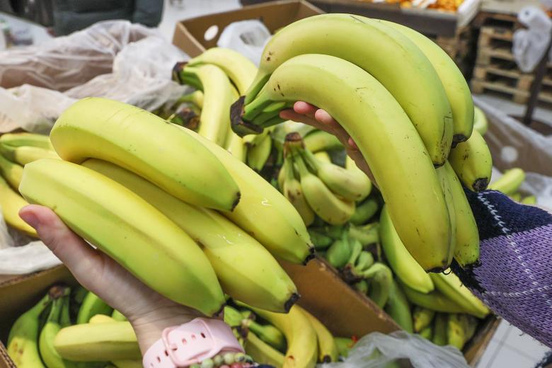 banany-vkljuchili-v-perechen-selskohozjajstvennoj-produkcii-rossii-c14251e