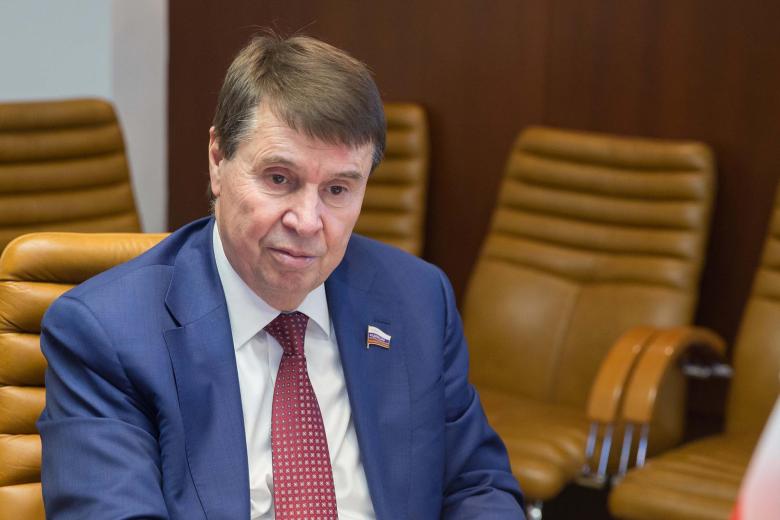 mesto-dlja-novyh-ljubimcev-deputat-o-plane-zelenskogo-smenit-poslov-v-g20-14402d8