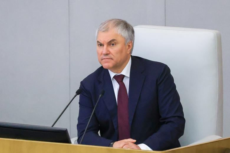 Володин призвал «навести порядок» в вопросе квот для мигрантов