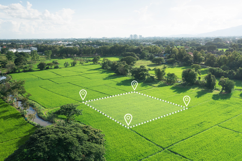 chto-delat-chtoby-ne-lishitsja-zemelnogo-uchastka-8f504e9