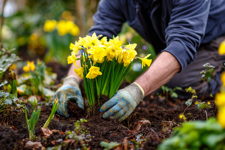 luchshie-mnogoletnie-cvety-dlja-posadki-pod-zimu-01aca7d