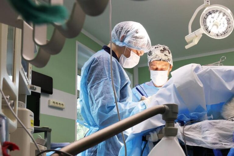 veterinary-spasli-sobaku-s-opuholju-na-matke-vesom-7-kg-5b6c733