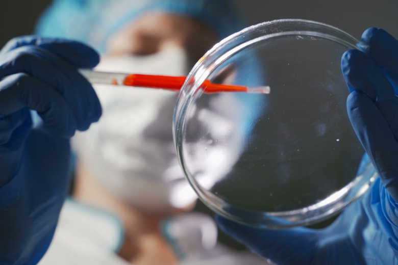 nazvana-vozmozhnaja-prichina-otravlenija-detej-v-dagestane-1508248