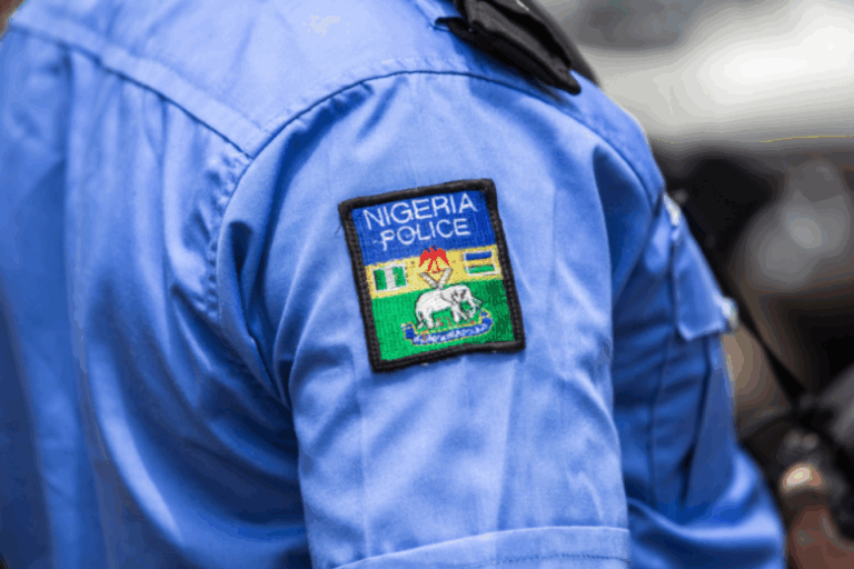 vlasti-nigerii-objavili-vojnu-terroristam-7a7a6b1