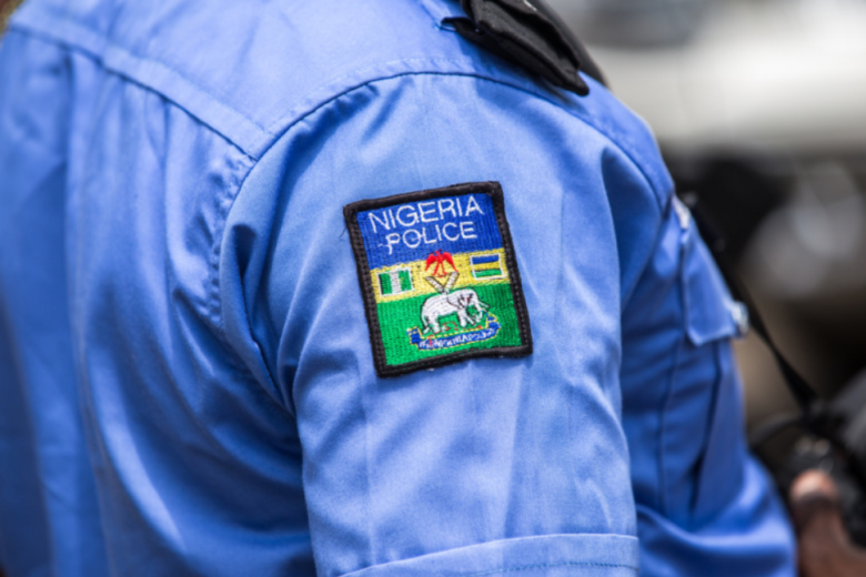 vlasti-nigerii-objavili-vojnu-terroristam-7a7a6b1