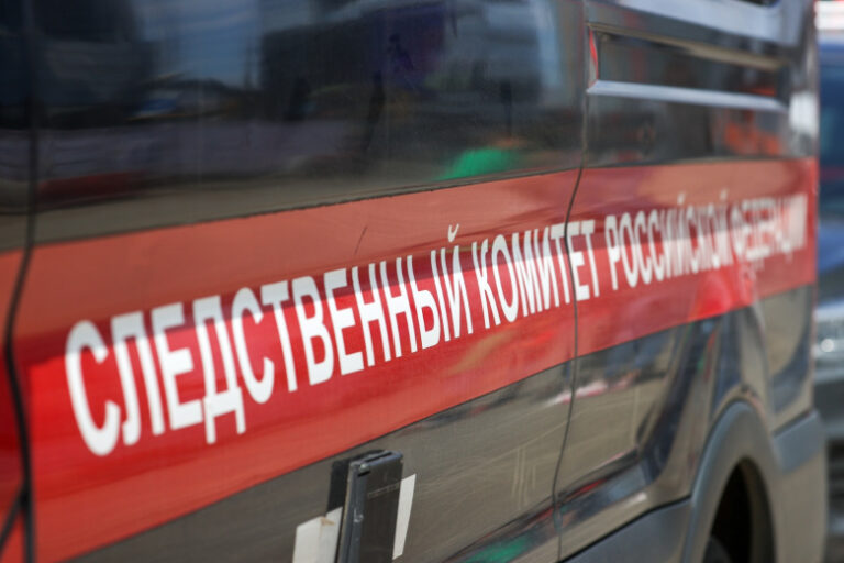 ne-po-kajfu-sk-vozbudil-delo-posle-trenirovki-bojca-pop-mma-s-pamjatnikom-5c66329