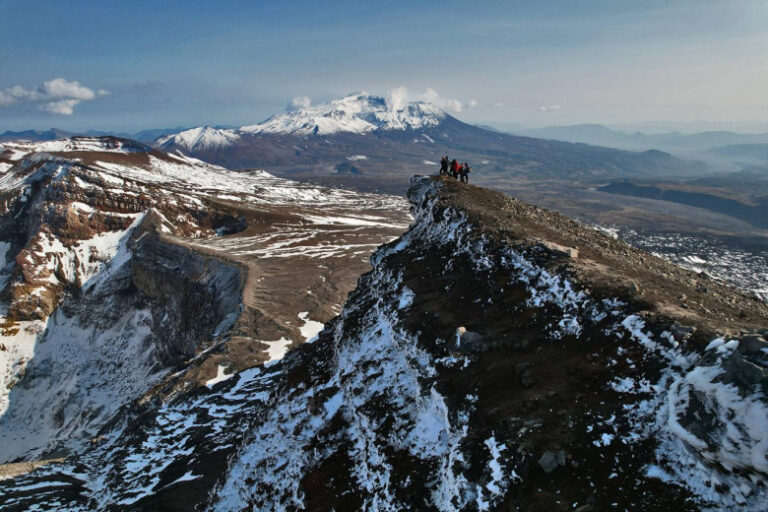 prilozhenie-zelenaja-knopka-voshlo-v-short-list-premii-runeta-2025-a104329