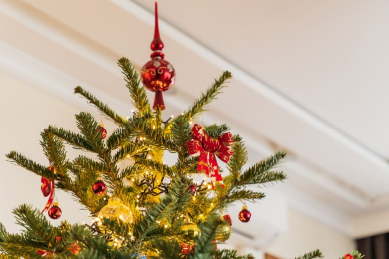 ugolovnoe-presledovanie-grozit-rossijanam-za-novogodnij-atribut-ccd3359