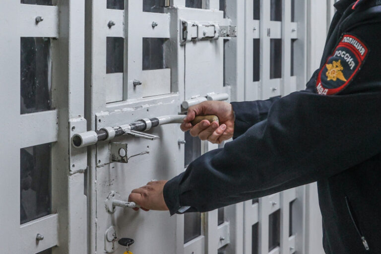 v-gosdume-raskryli-chto-grozit-smejavshimsja-nad-umirajushhej-sobakoj-veterinaram-63d984d